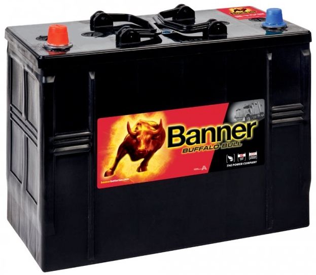 BANER BUFFALO BULL KOMERCYJNY AKUMULATOR 62513 12V 125AH TYP 648